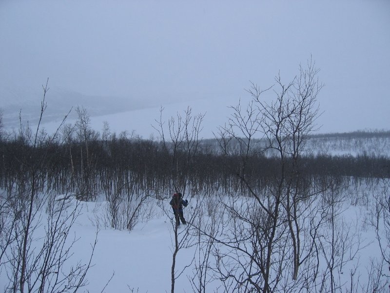 Click for the original image